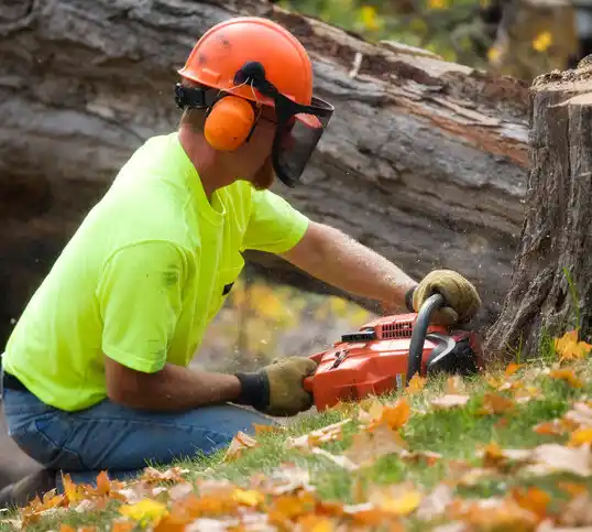 tree services Lake Carmel